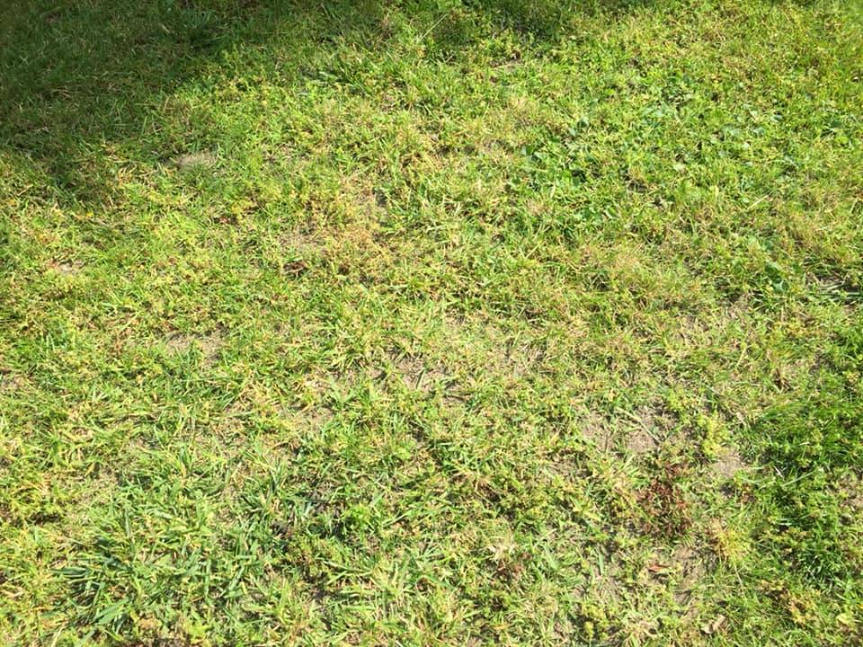 Villa a schiera in vendita a Novara, Periferia e Frazioni