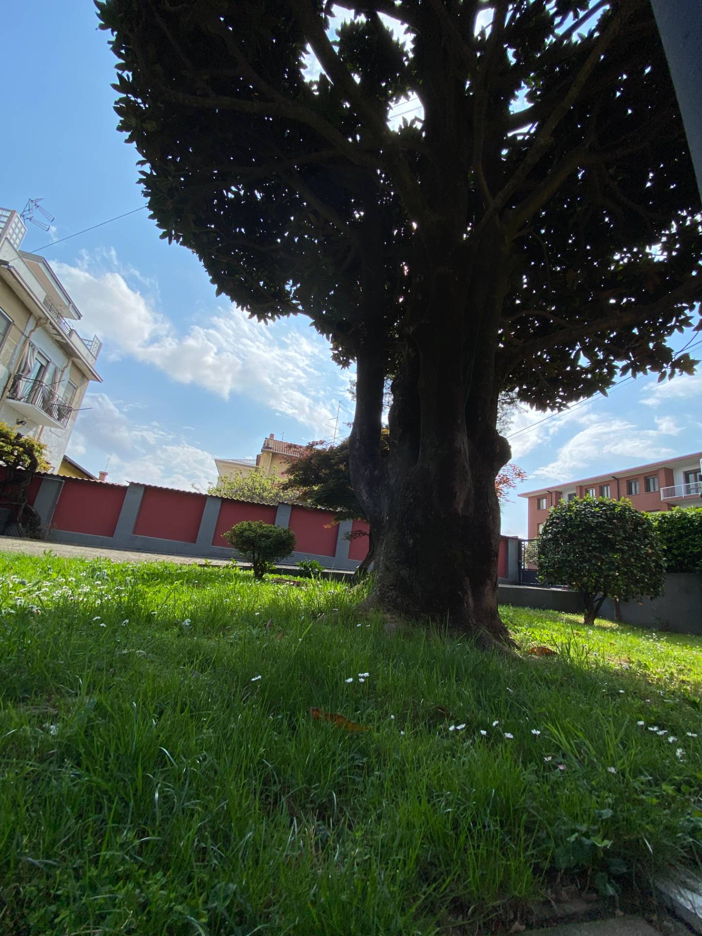 Villa in vendita a Novara, S.Agabio - S. Rocco