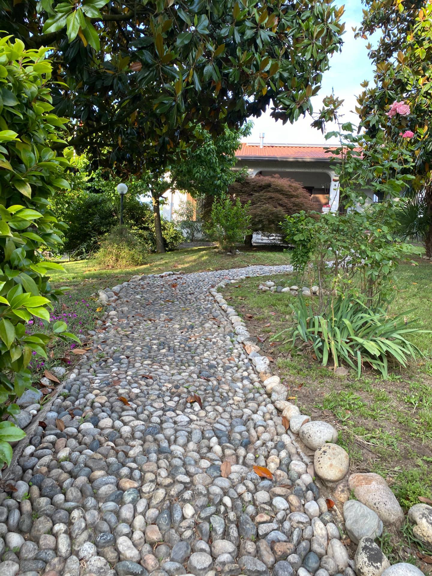 Casa indipendente in vendita a Sozzago