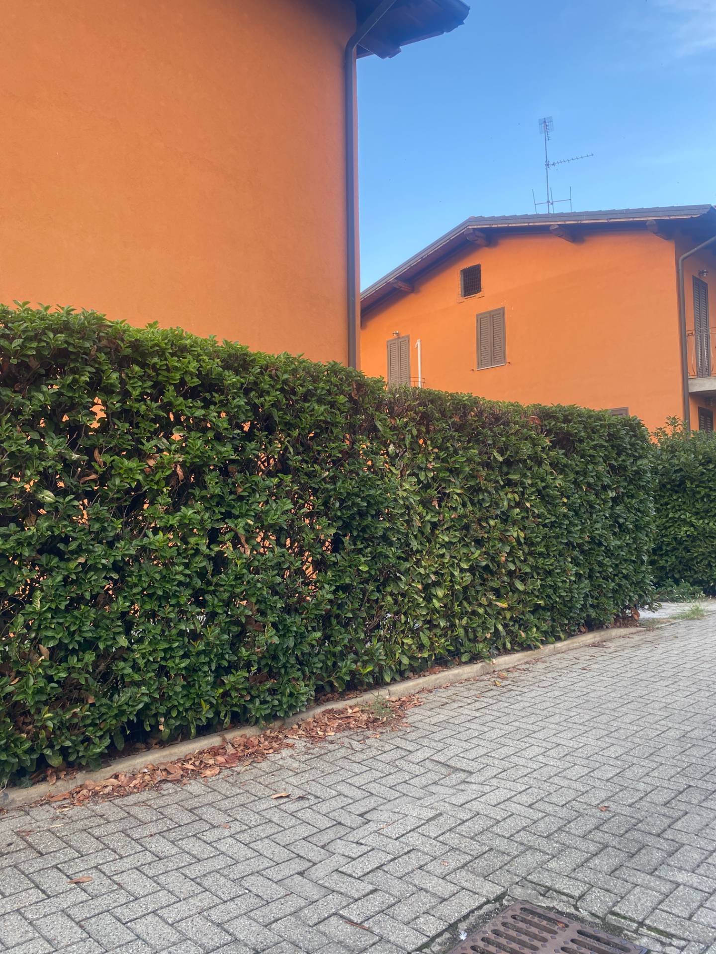 Villa in vendita a Romentino