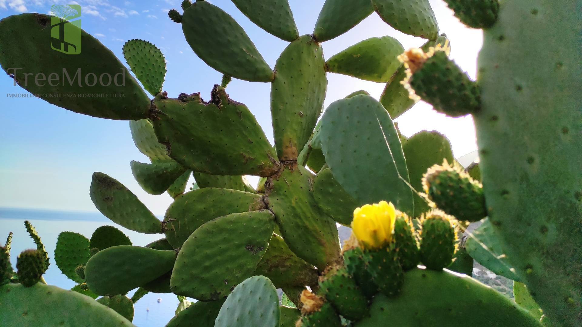 Villa in vendita a Lipari, Filicudi