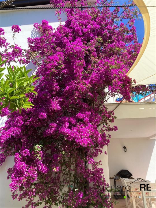 Villa vista mare, San Vito Chietino san vito marina
