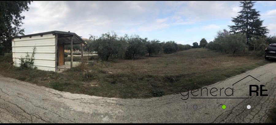 Terreno in vendita a Cepagatti