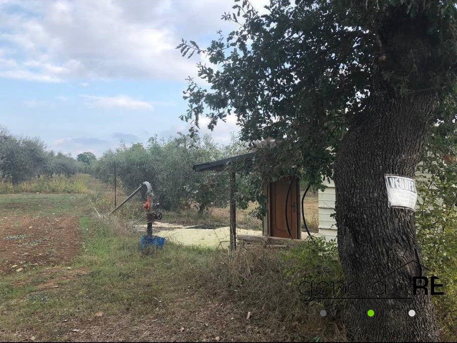 Terreno in vendita a Cepagatti