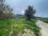 Silvi: Terreno Agricolo in Vendita