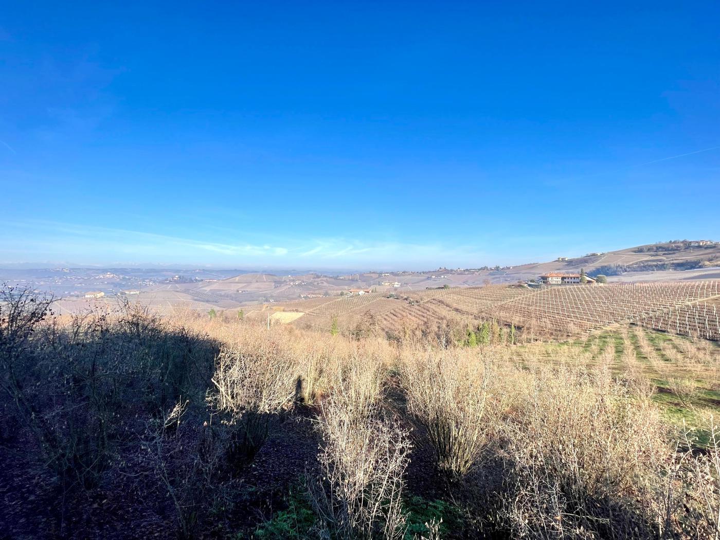 Casa indipendente con giardino a Diano d'Alba