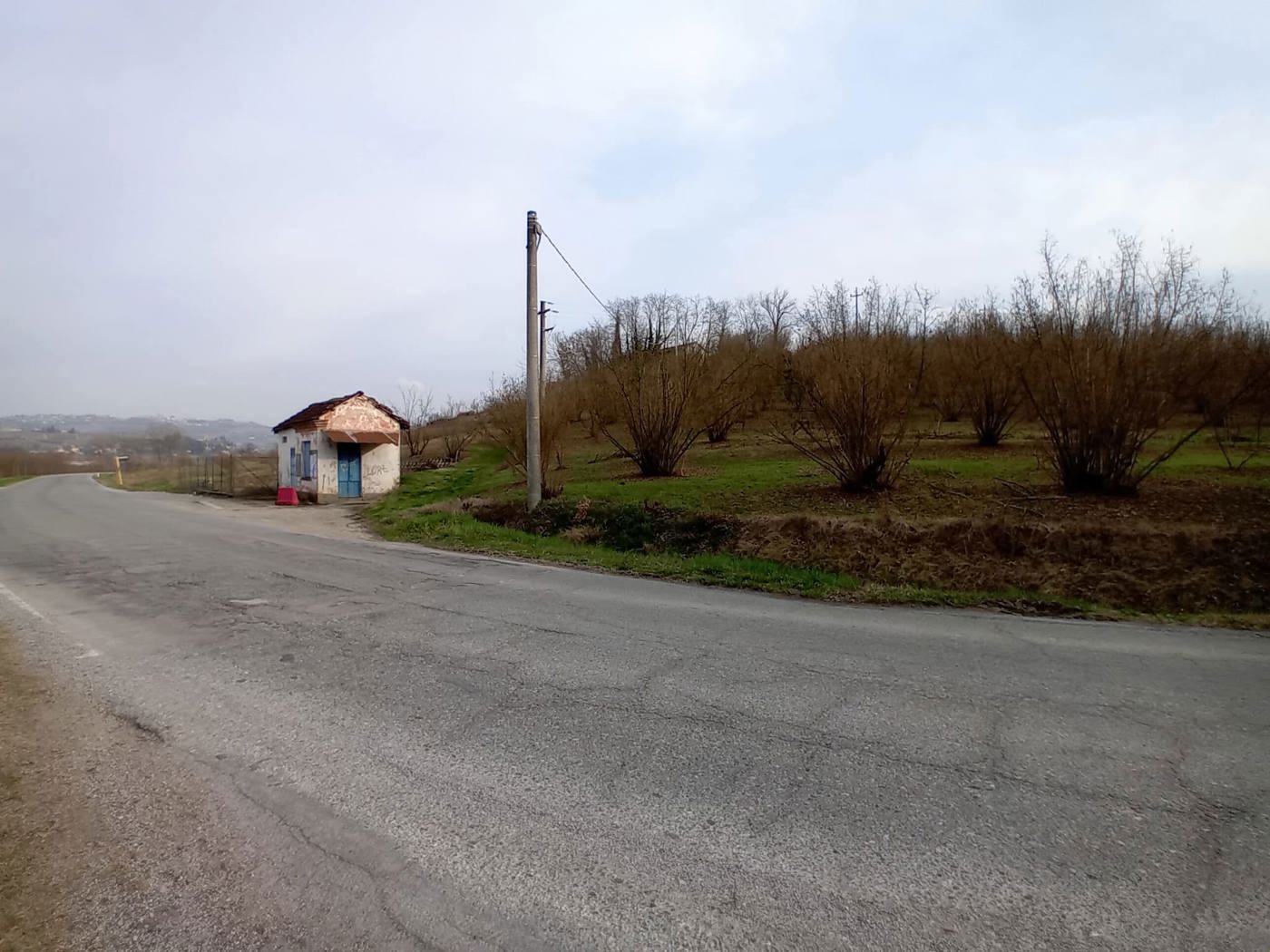 Terreno Agricolo in vendita a La Morra