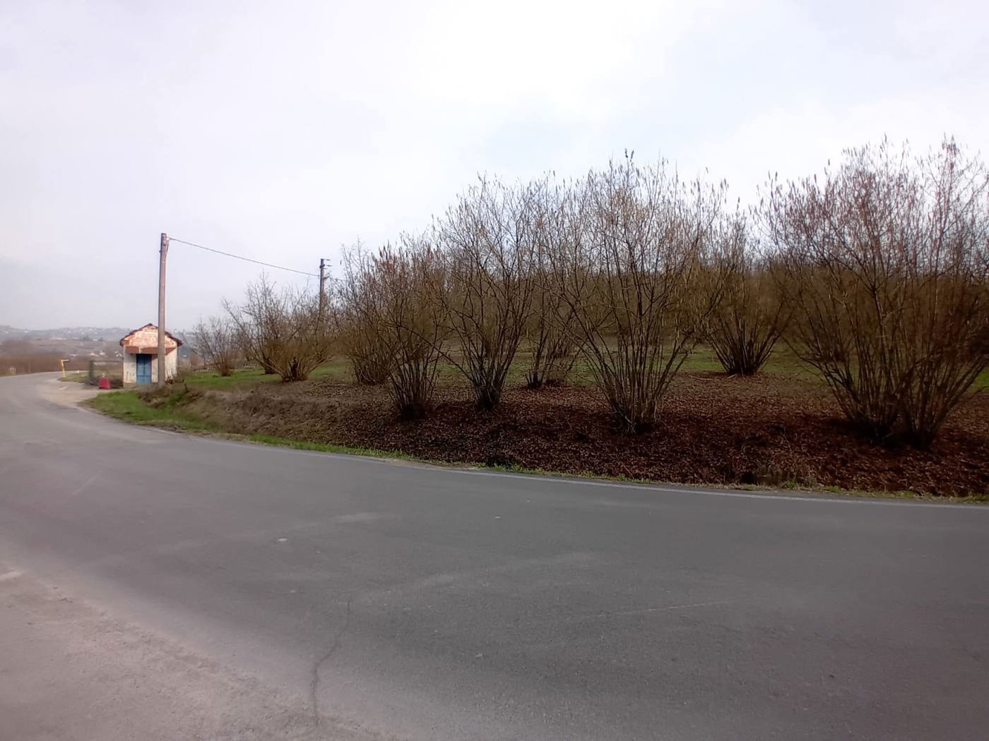Terreno Agricolo in vendita a La Morra