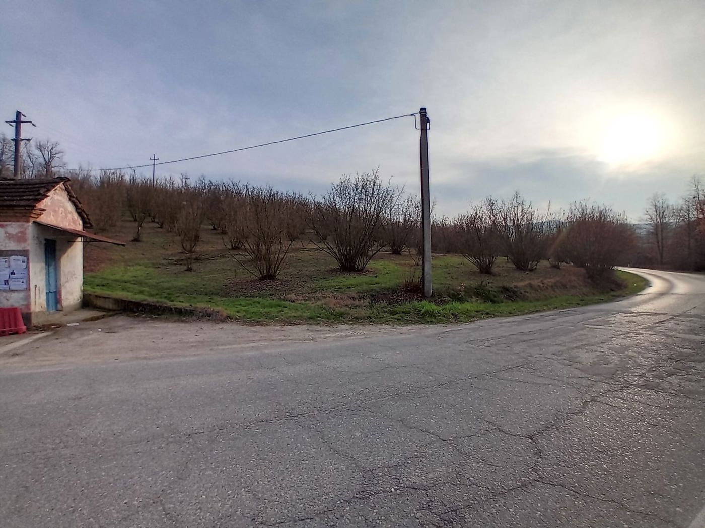 Terreno Agricolo in vendita a La Morra