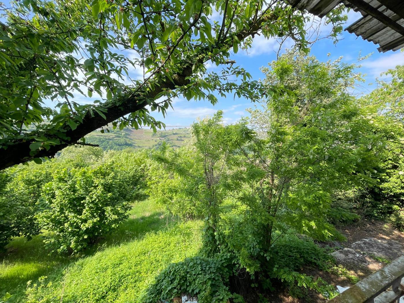 Rustico con giardino a Mango