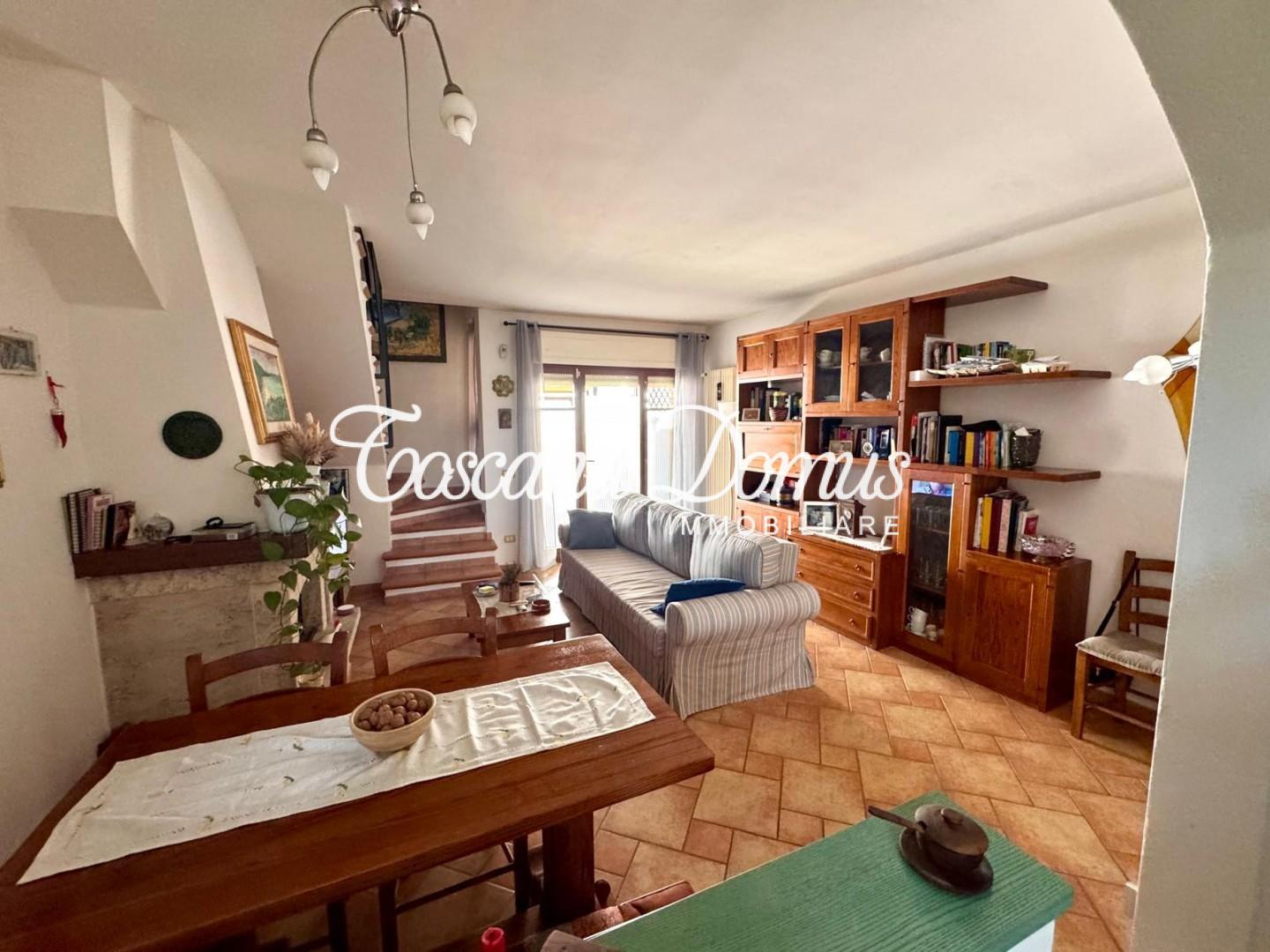 Casa indipendente in vendita, Asciano arbia