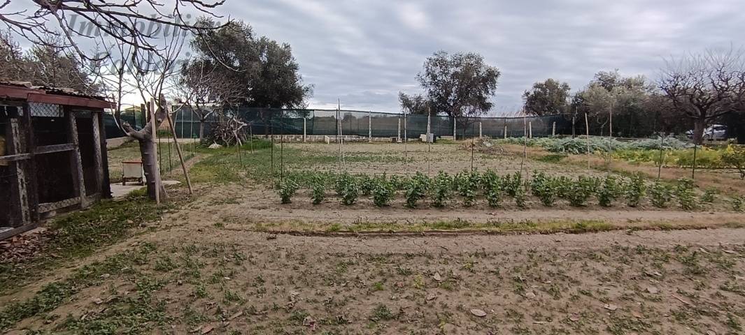 Terreno Agricolo in vendita a San Benedetto del Tronto, Porto d'Ascoli