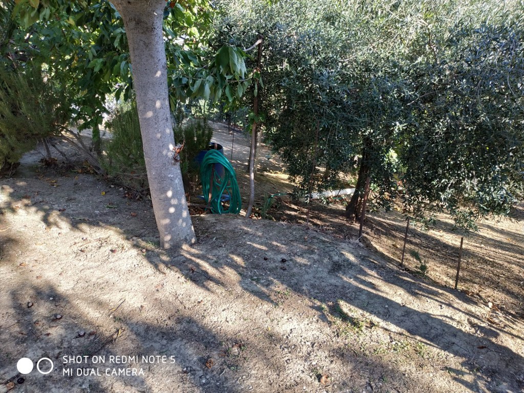 Casa singola in vendita a Monteprandone, Paese