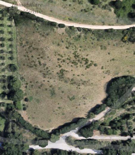 Terreno Agricolo in vendita a Grottammare