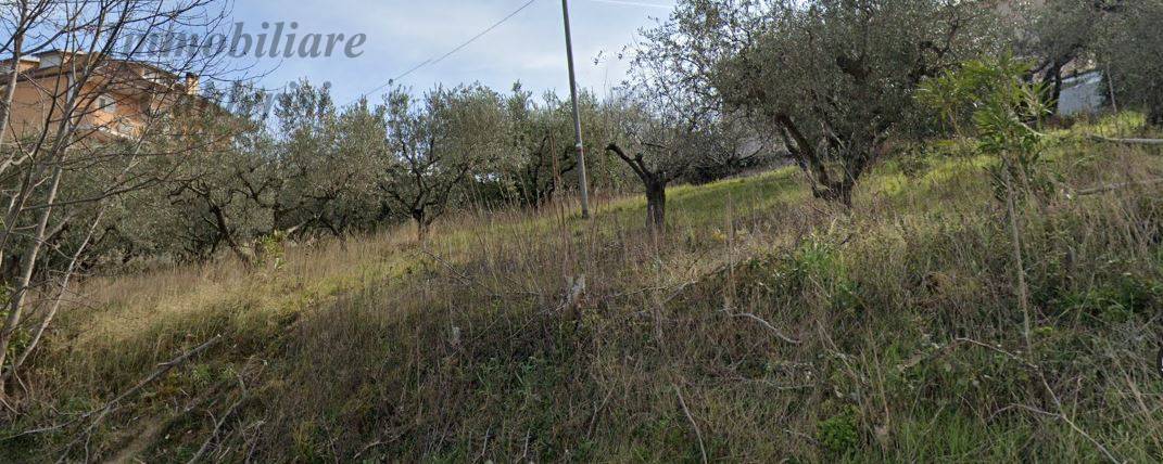 Terreno edificabile in vendita a Monteprandone