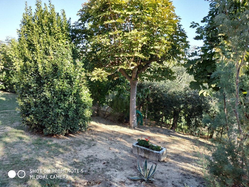 Casa singola in vendita a Monteprandone, Paese