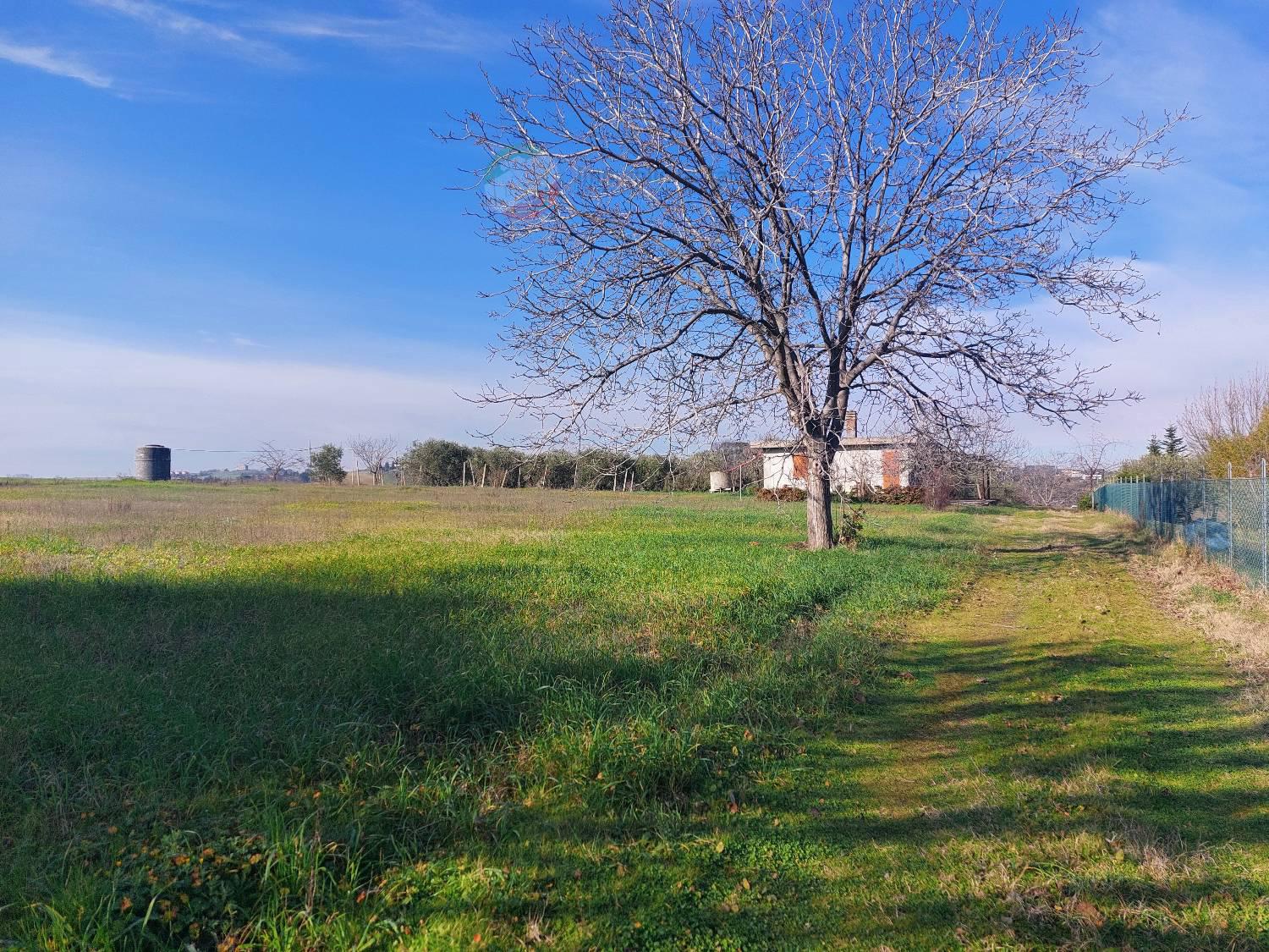 Terreno Agricolo con giardino a Misano Adriatico