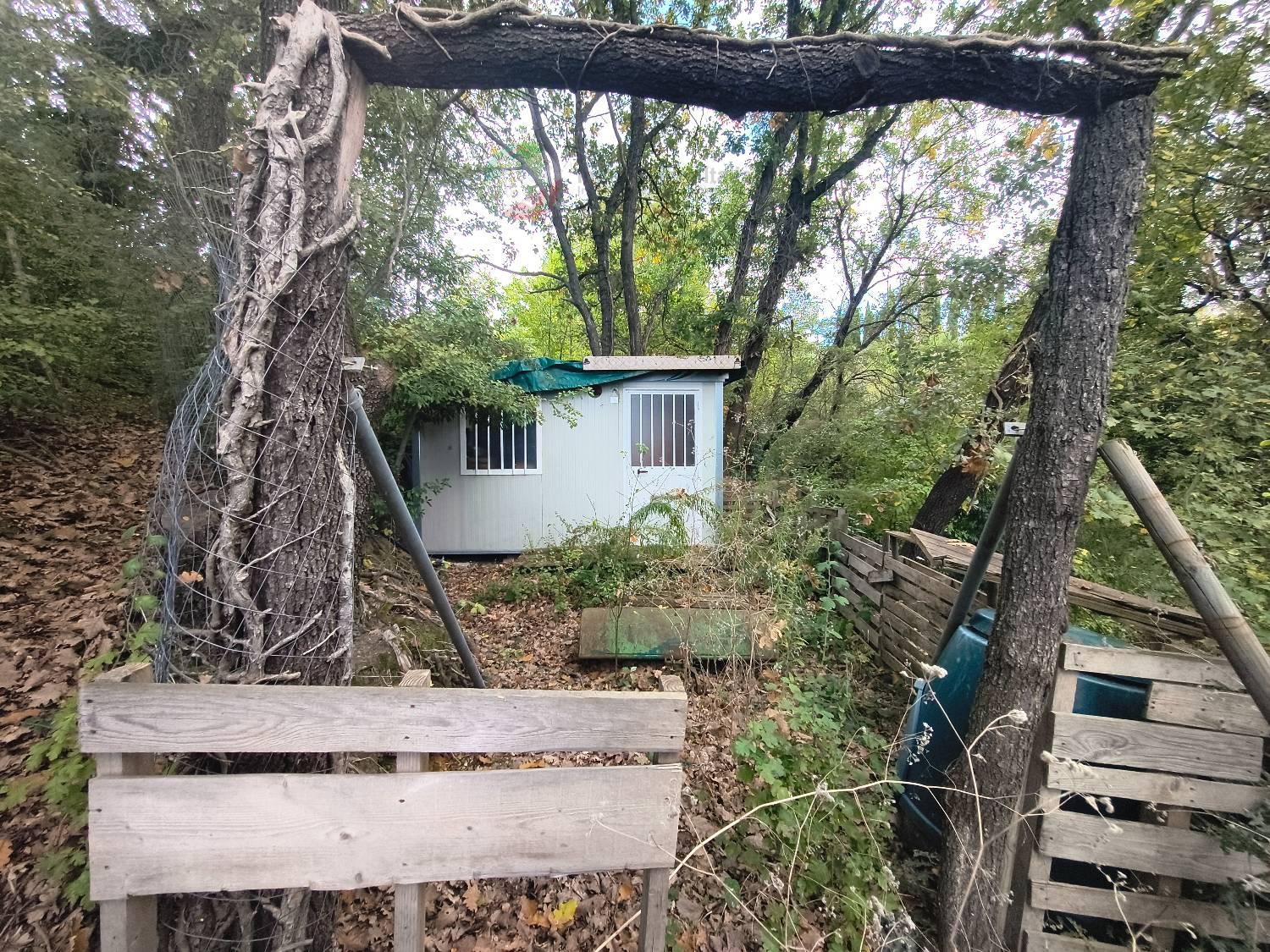 Terreno Agricolo con giardino a Saludecio