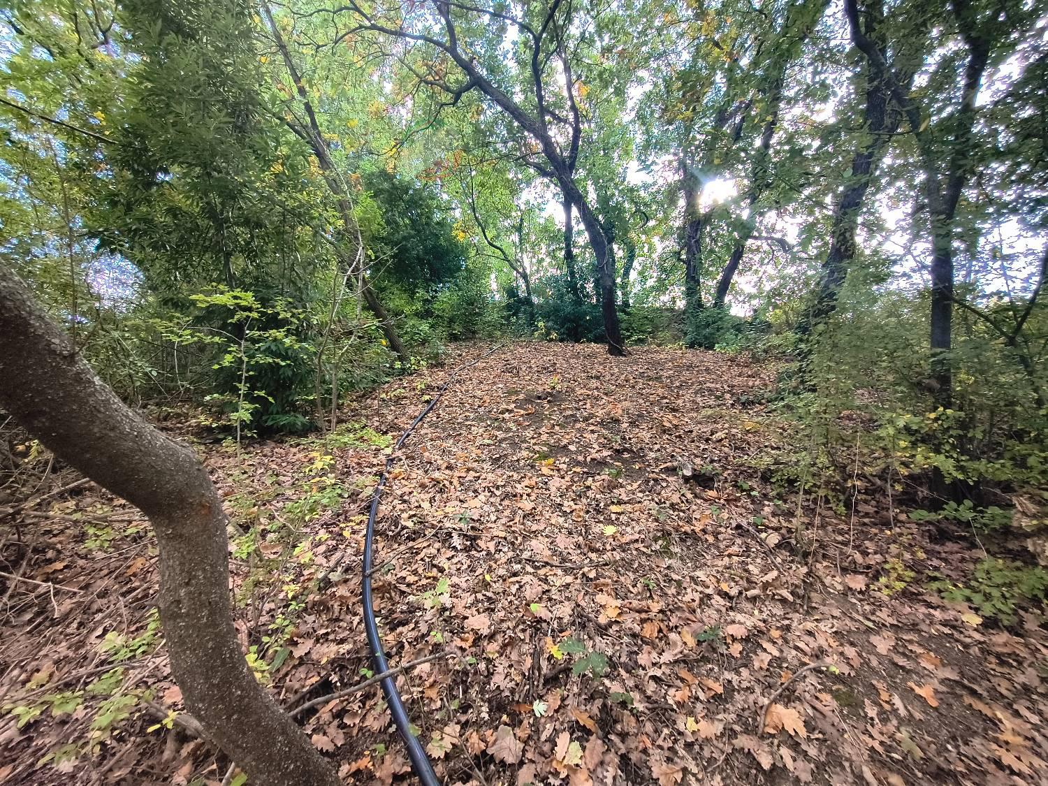 Terreno Agricolo con giardino a Saludecio