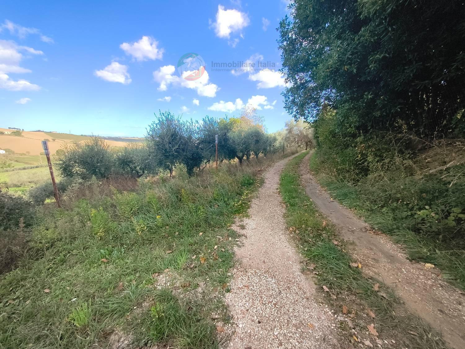 Terreno Agricolo con giardino a Saludecio