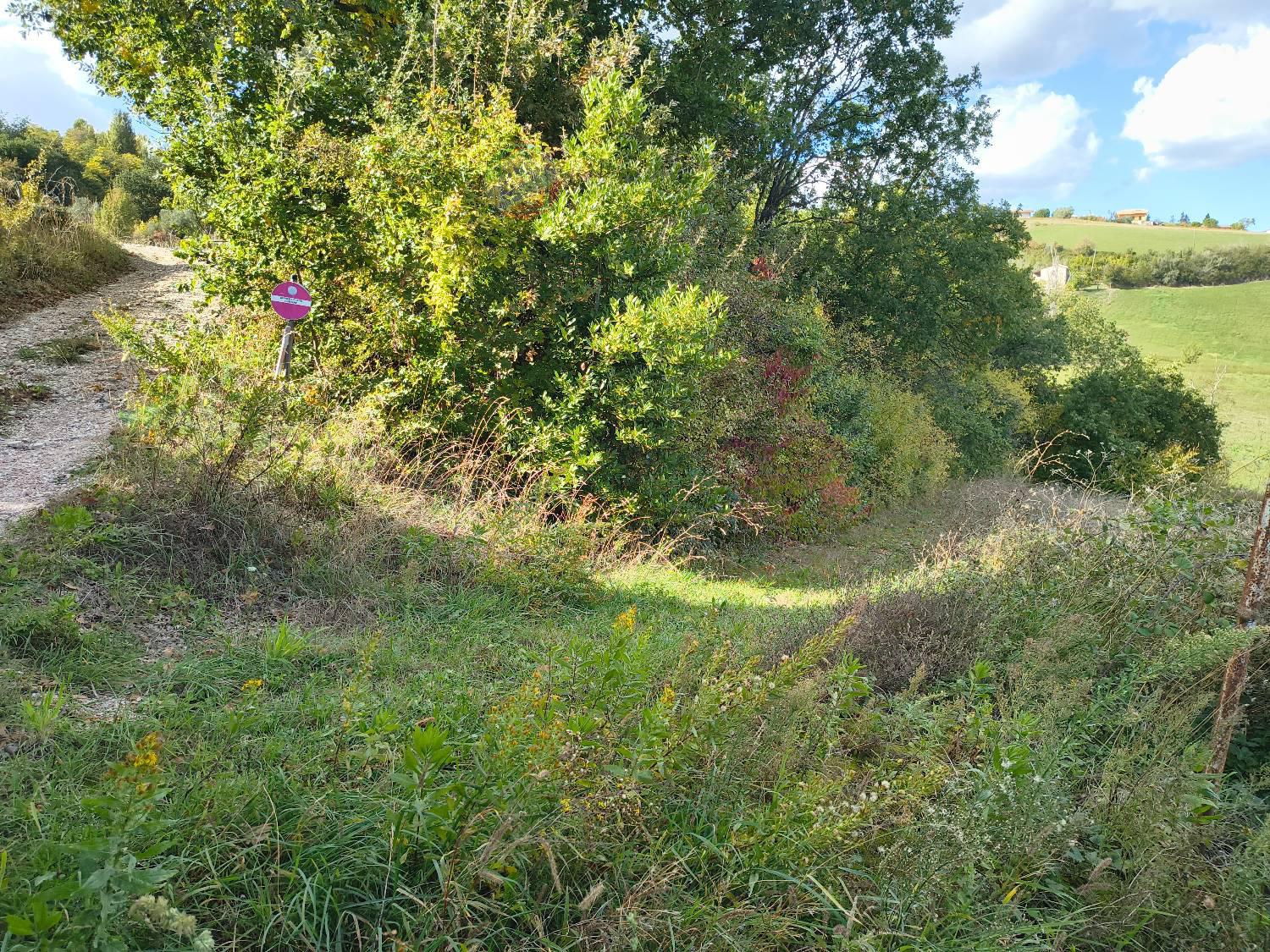 Terreno Agricolo con giardino a Saludecio