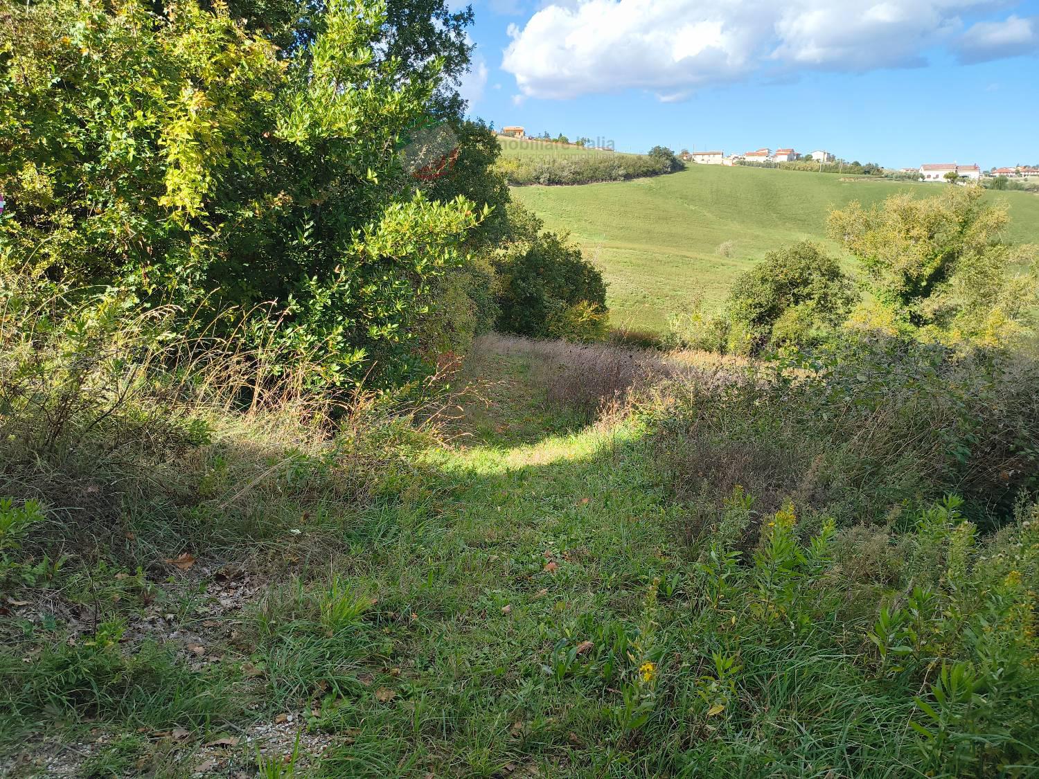 Terreno Agricolo con giardino a Saludecio