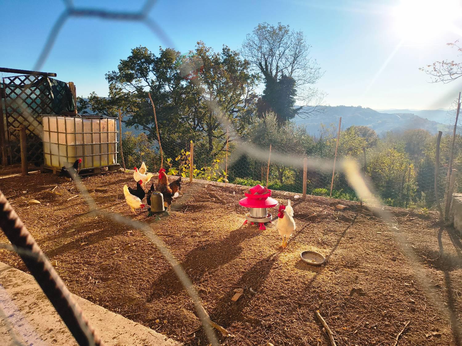 Rustico con giardino a Mercatino Conca