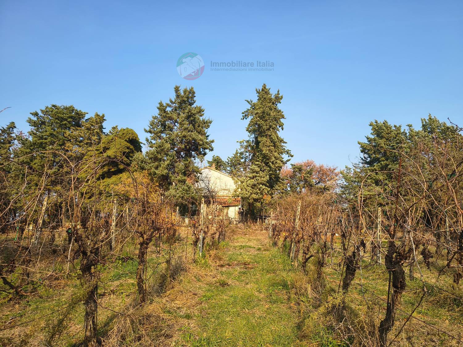 Rustico con giardino a Gradara