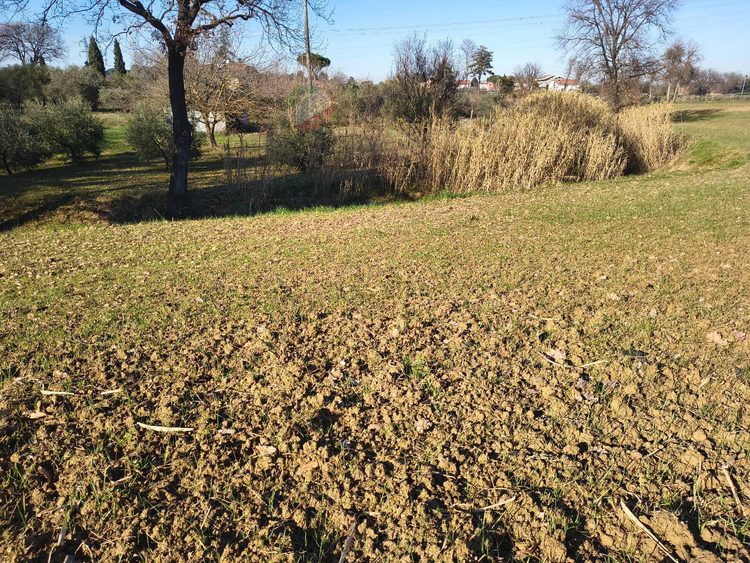 Terreno Agricolo con giardino a Riccione