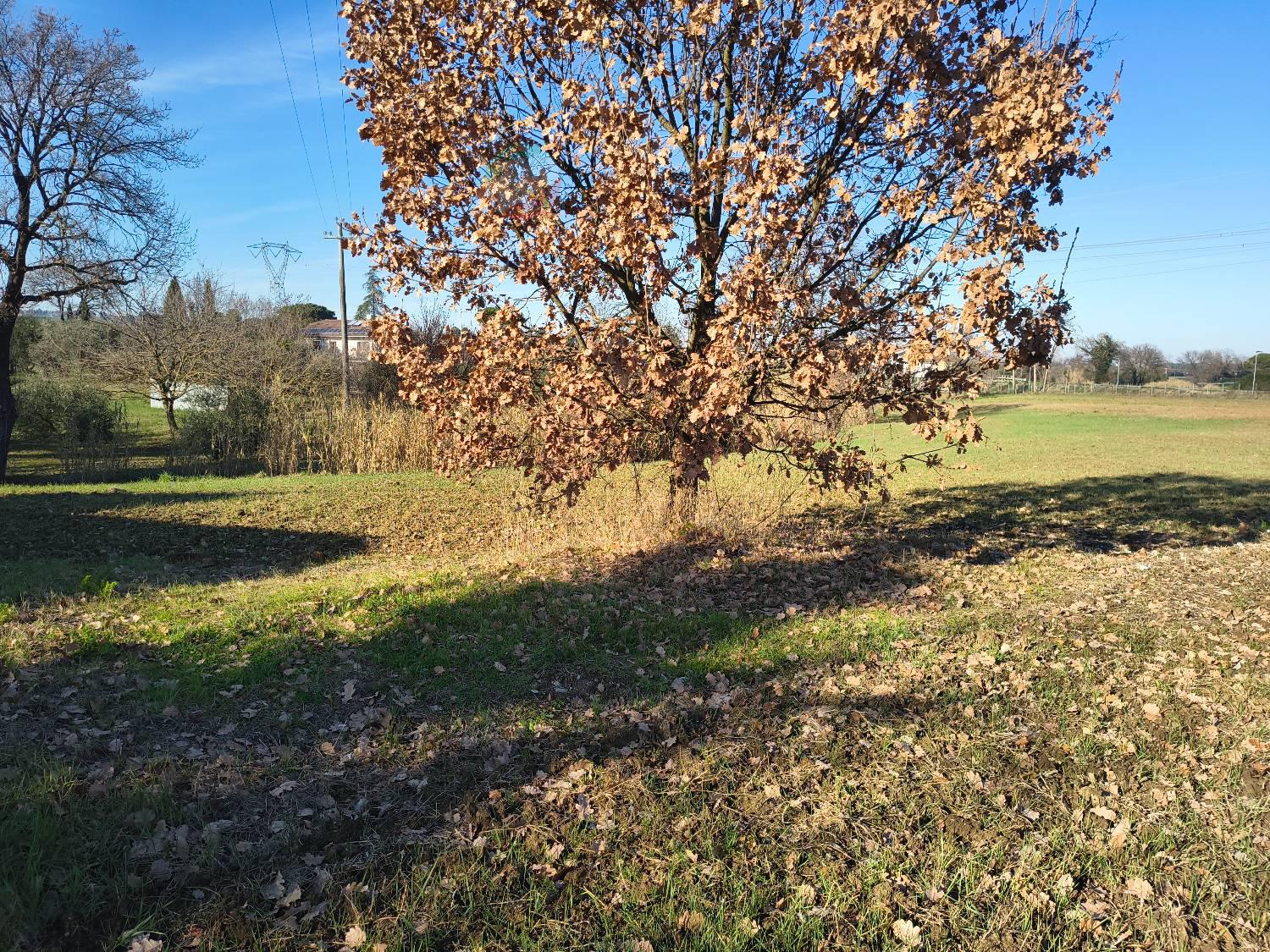 Terreno Agricolo con giardino a Riccione
