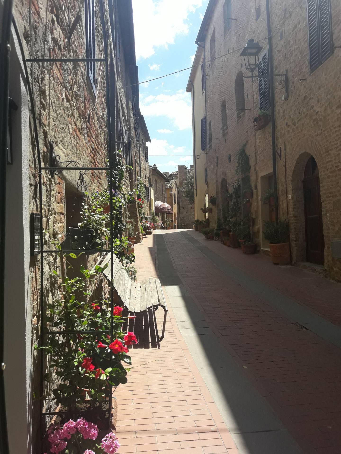 Miniappartamento in affitto a Casole d'Elsa