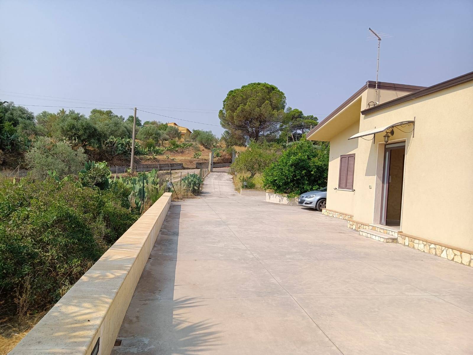 immagine annuncio 5 di 6