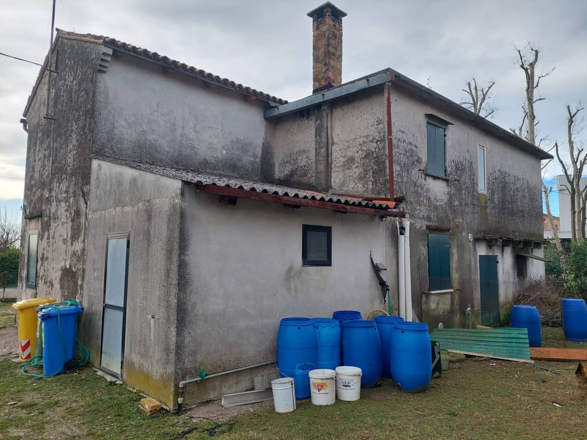 immagine annuncio 5 di 6
