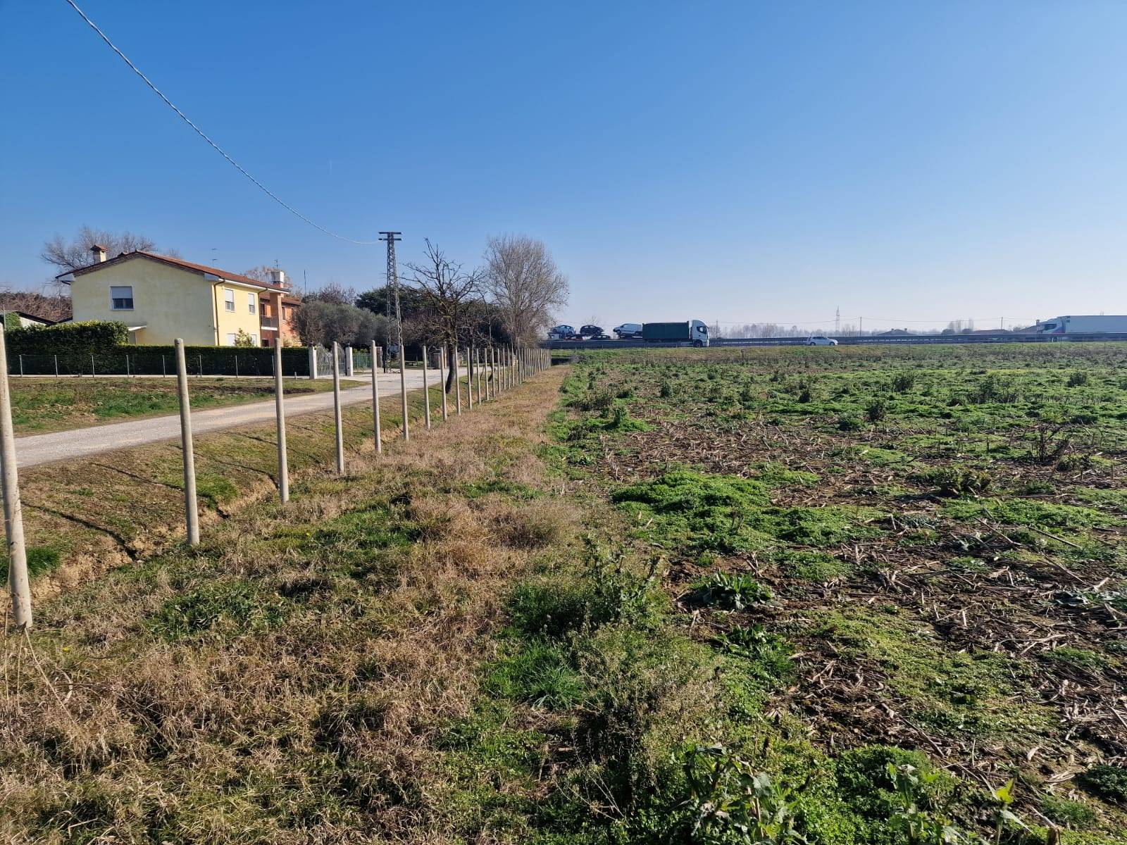 immagine annuncio 4 di 6