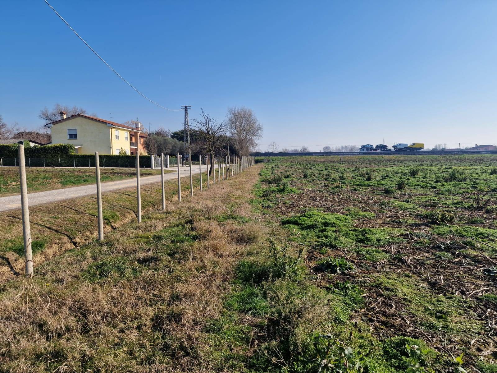 immagine annuncio 5 di 6