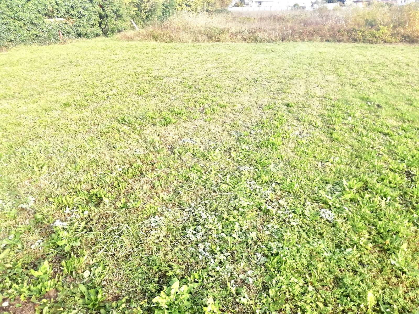 Terreno edificabile in vendita a Casale sul Sile