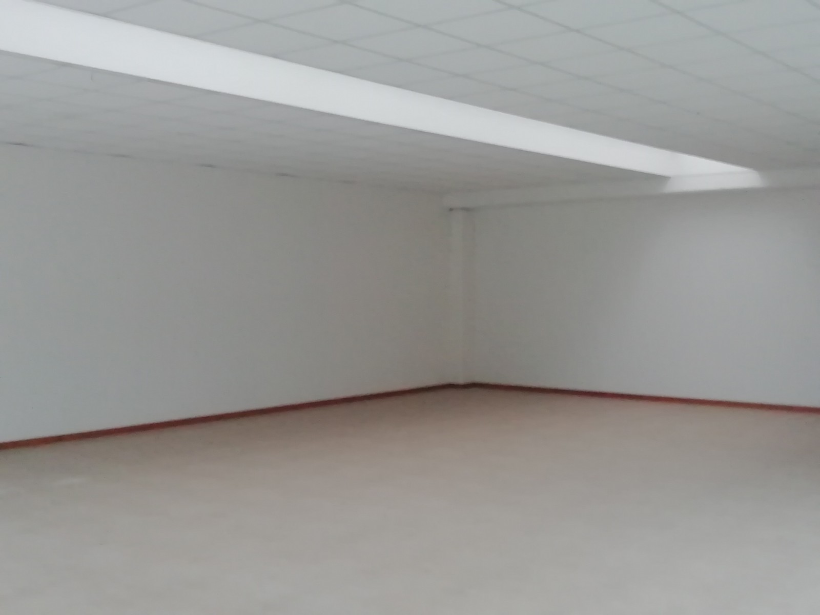 Negozio in vendita a Mogliano Veneto