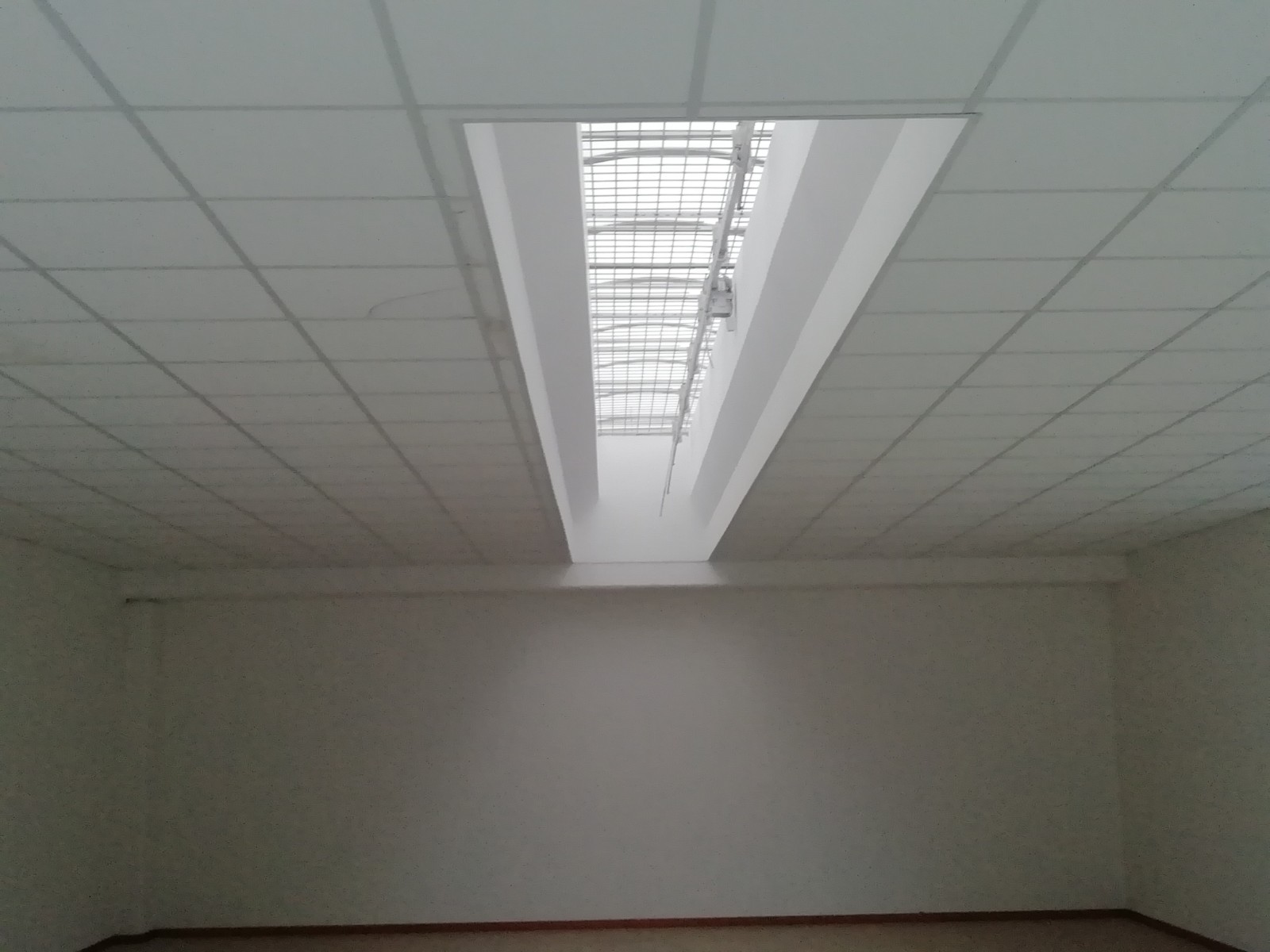 Negozio in vendita a Mogliano Veneto