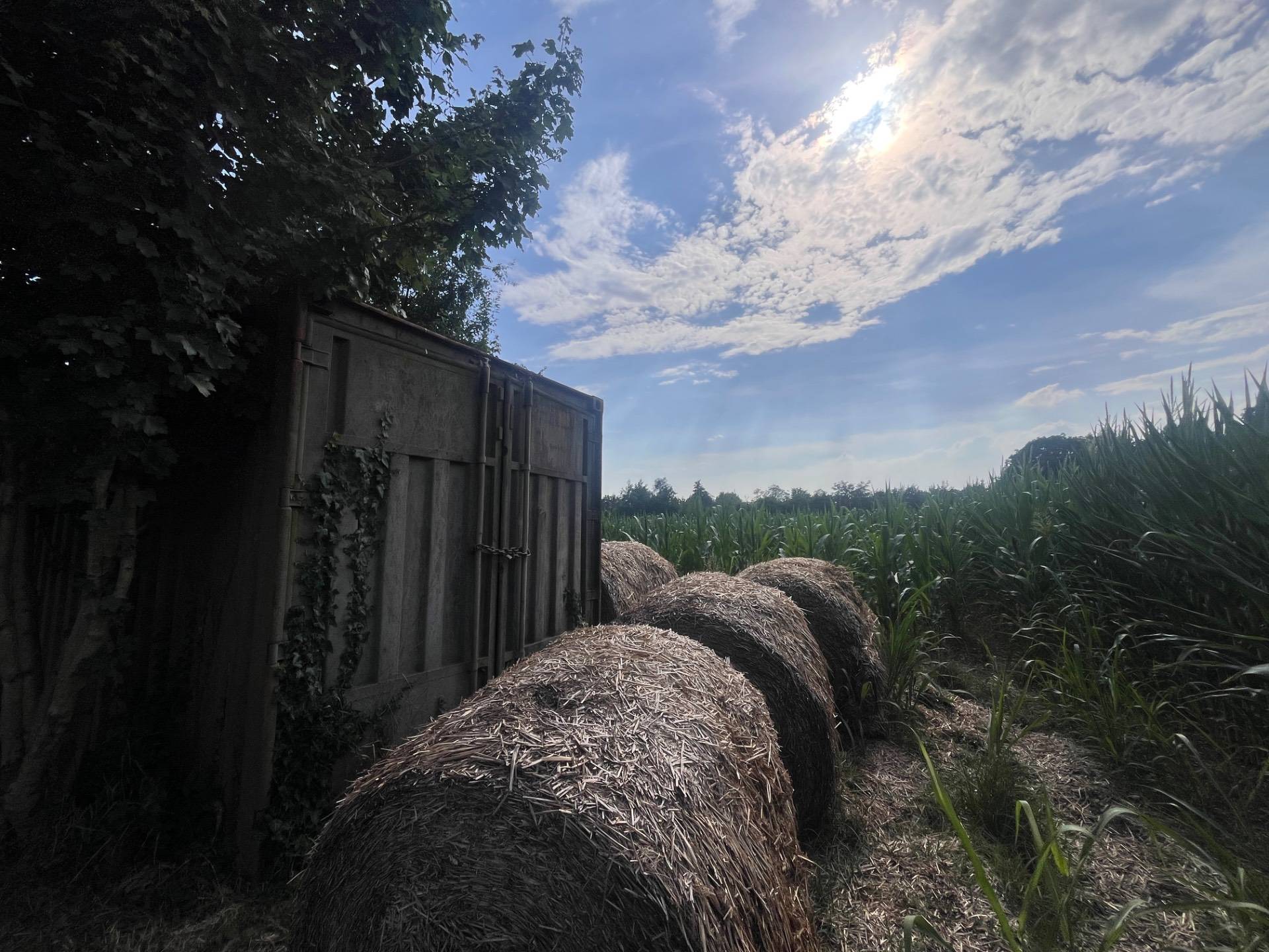 Terreno Agricolo in vendita a Silea