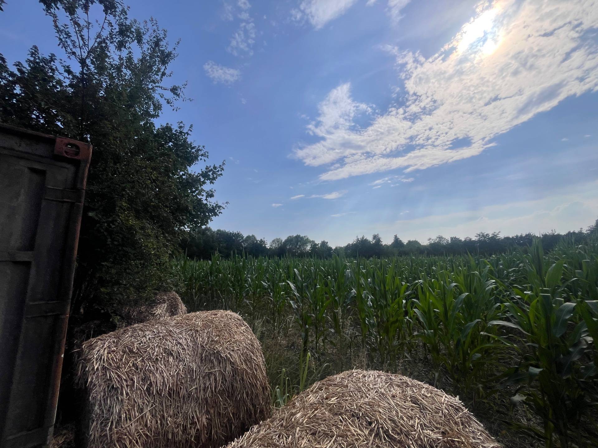 Terreno Agricolo in vendita a Silea