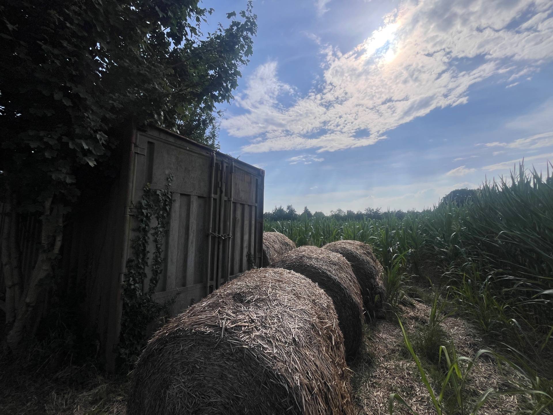 Terreno Agricolo in vendita a Silea