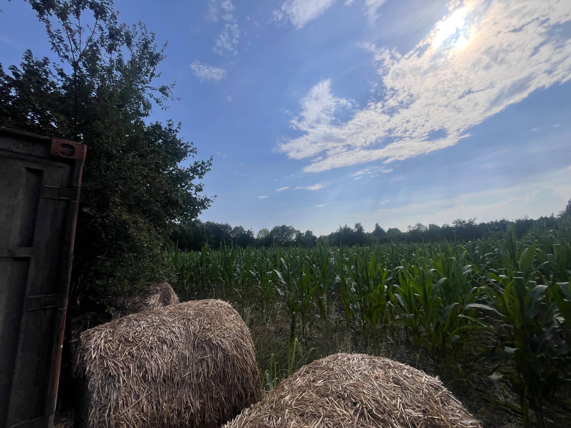 Terreno Agricolo in vendita a Silea