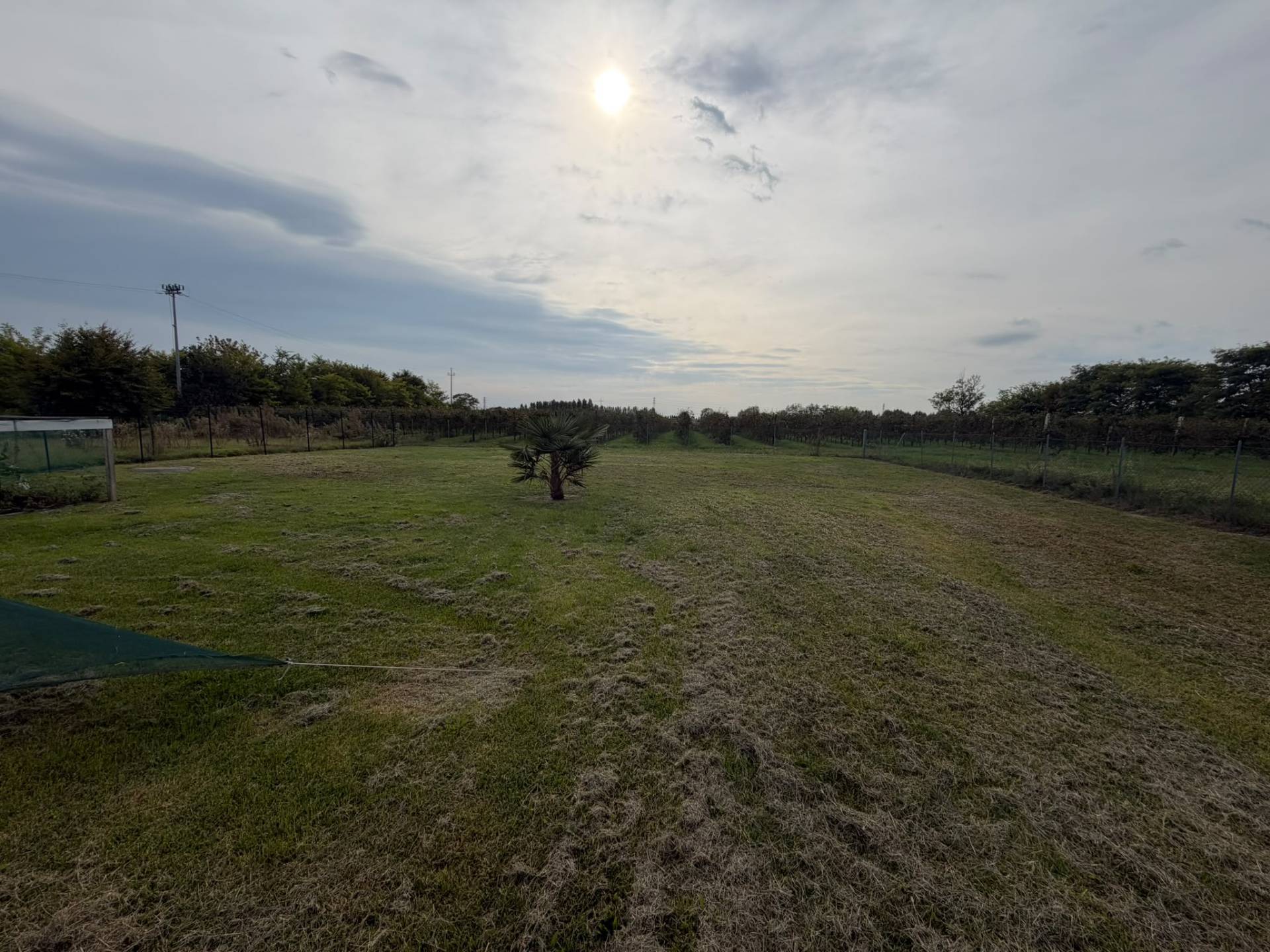 Bifamiliare in vendita a San Biagio di Callalta, Olmi -San Floriano