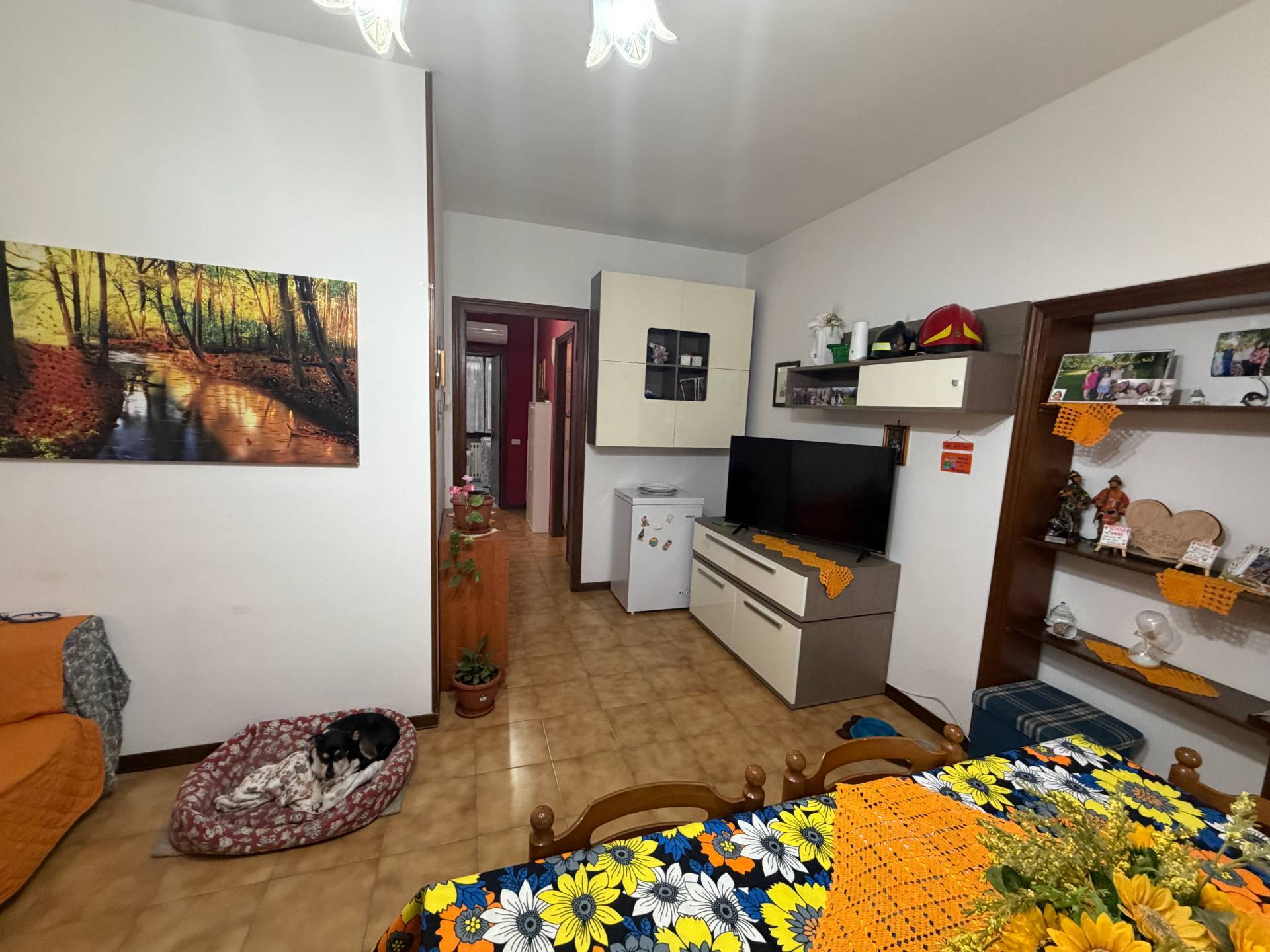 Appartamento in vendita a Morgano, Badoere