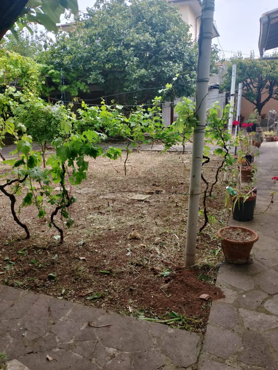 Villa con giardino a Rosignano Marittimo