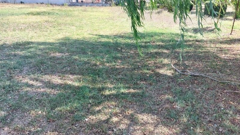 Villa con giardino a Empoli