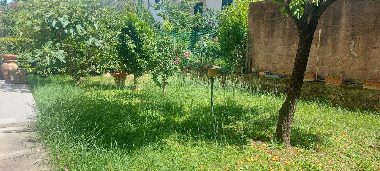 Casa indipendente con giardino a Empoli