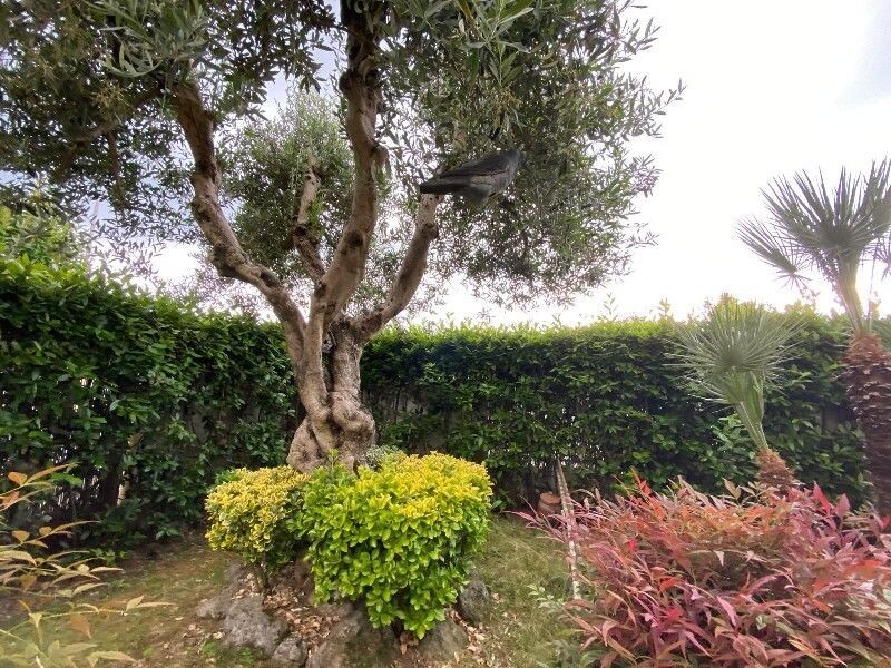 Casa indipendente con terrazzo a Empoli