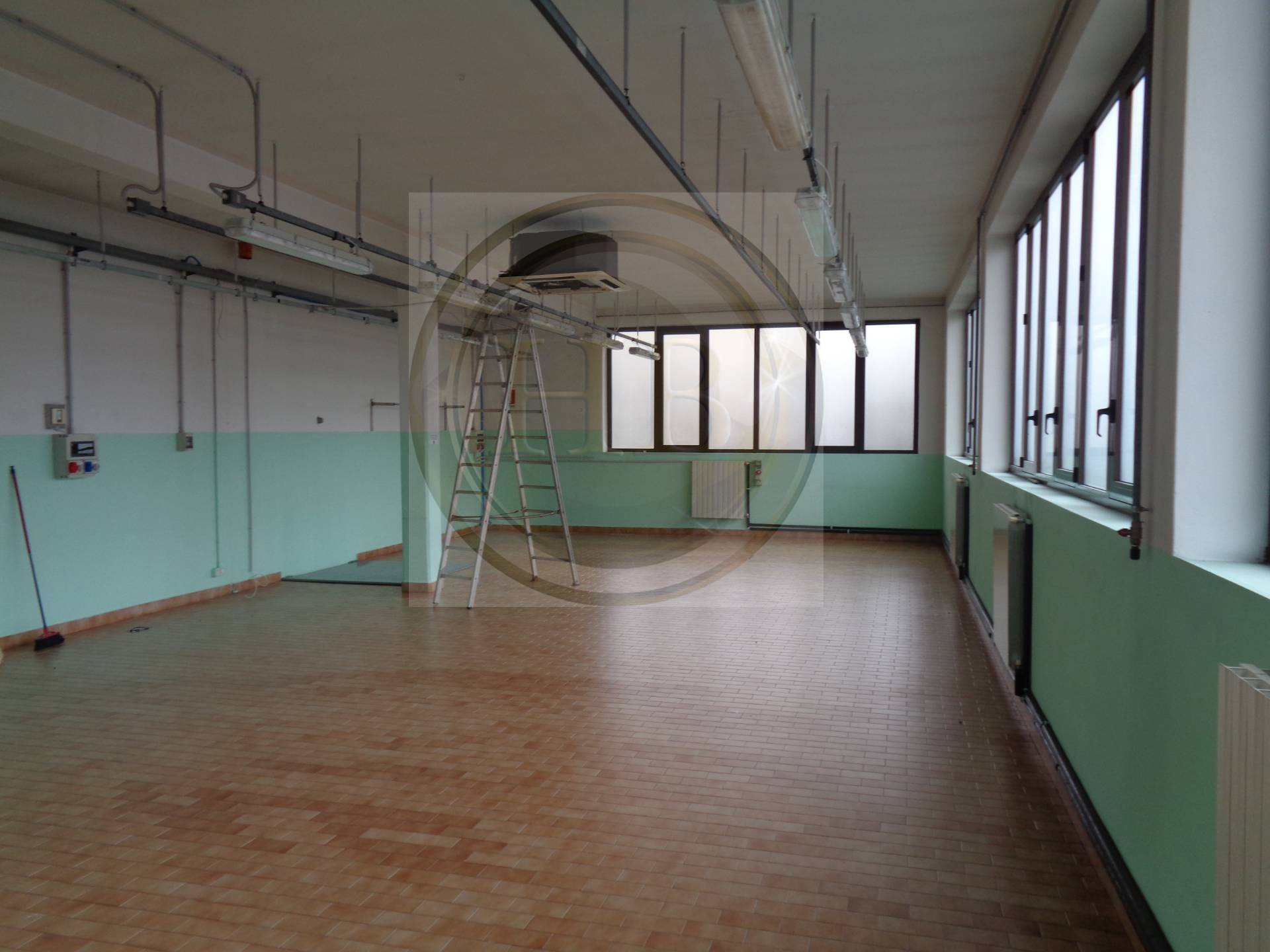 immagine annuncio 3 di 6