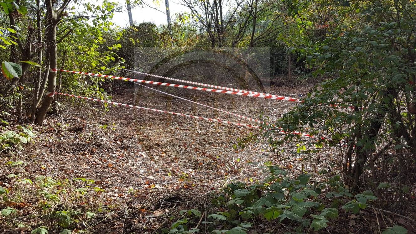 Terreno Agricolo in vendita a Besnate